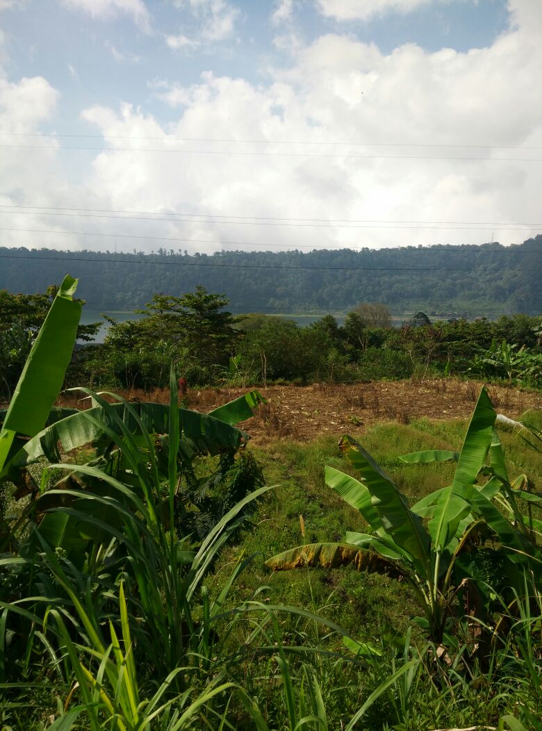 Tanah di Tabanan
